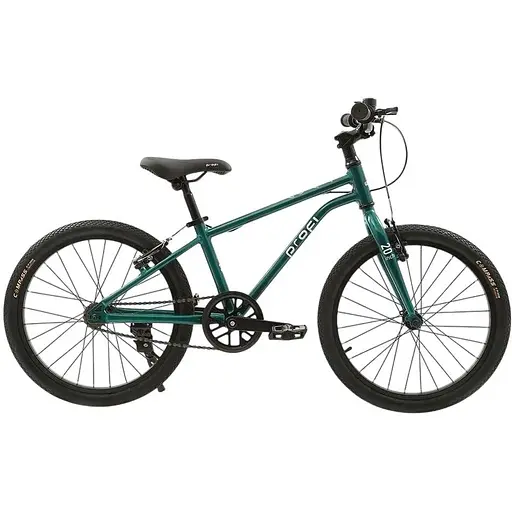 Велосипед Profi MB 20LIGHTY Rain Forest 20" підніжка дзвоник захист ланцюга зелений