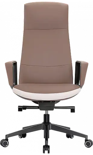 Офисное кресло GT Racer (B-3195 Beige/Brown) - фото 2