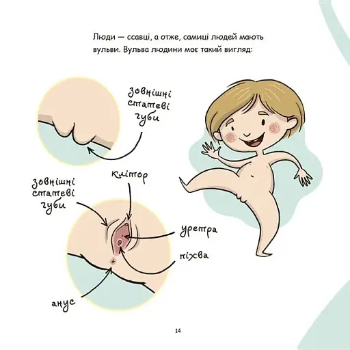 Корисні навички. Це - вульва! - фото 3