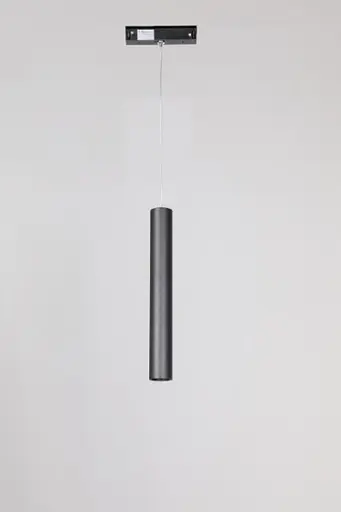 Підвісний трековий світильник Laguna Lighting 11363-12 - фото 1