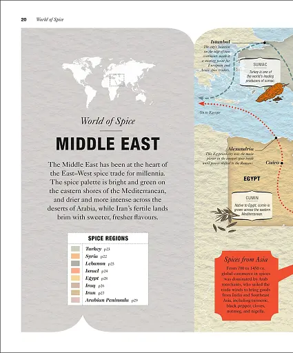 The Science of Spice - фото 5