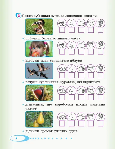 Я досліджую світ. 2 клас. Робочий зошит. Частина 1 - фото 3