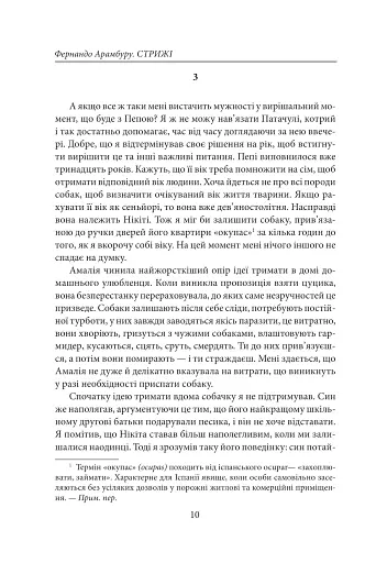 Стрижі - фото 9