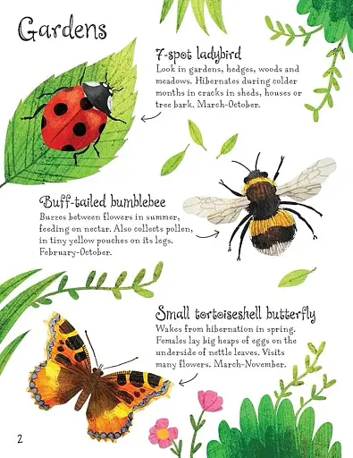 Bugs to Spot. Usborne Minis