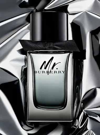Burberry Mr. Burberry туалетная вода 100 ml - фото 3