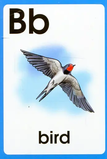 Англійська абетка ABC Words. Картки - фото 4