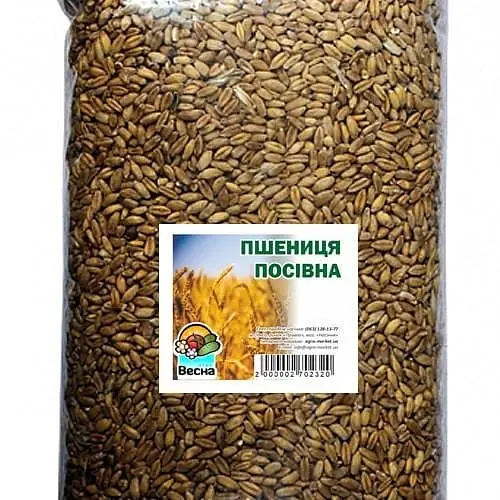 Пшениця посівна ТМ "Весна" 1кг (45930) - фото 1