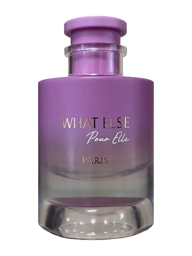 Парфюмерная вода Elysees Fashion What Else pour Elle 100 мл
