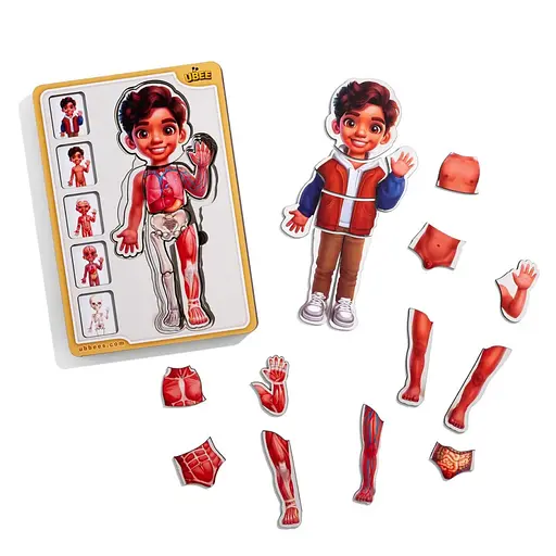 Дерев'яний пазл-вкладиш "Анатомія людини - хлопчик-2" Ubumblebees (ПСД261) PSD261 будова тіла - фото 2