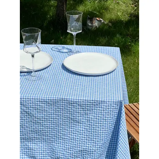 Скатертина в клітинку для столу Зефір 100х100 см (+ 4 серветки 30х40) Синя - фото 2