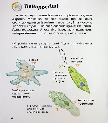 Енциклопедія дошкільника. Мікроби - фото 9