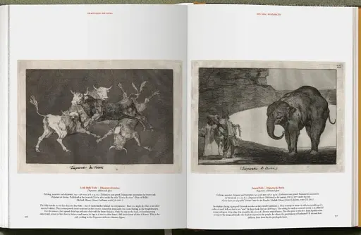 Goya. The Complete Prints - фото 24