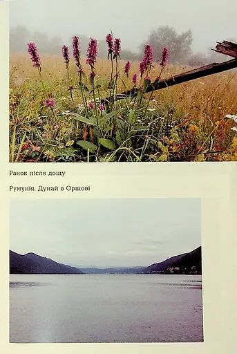 Сама. 2300 кілометрів через усі Карпати - фото 15