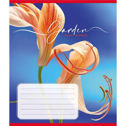 Тетрадь ученическая "Эстетика" Leader 024-550443K-1 в клеточку, 24 листа - фото 1