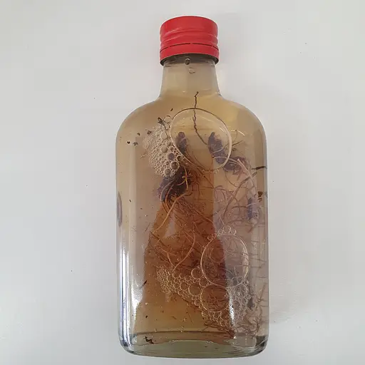 Водная настойка на корне первоцвета весеннего лекарственного 200 мл - фото 2