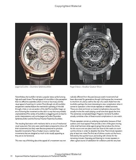 The World's Most Expensive Watches - фото 10