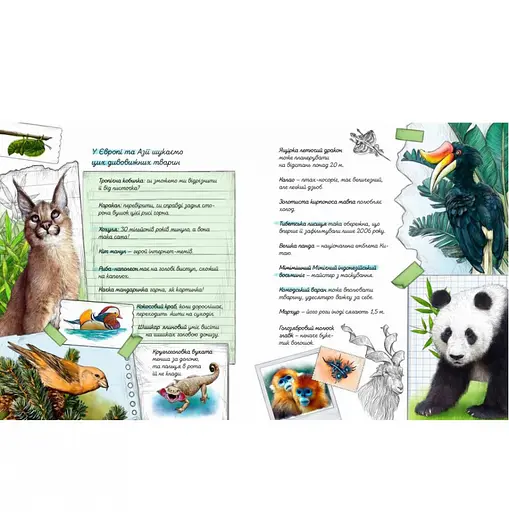 Книга "Экспедиция за удивительными животными" 152961 - фото 7