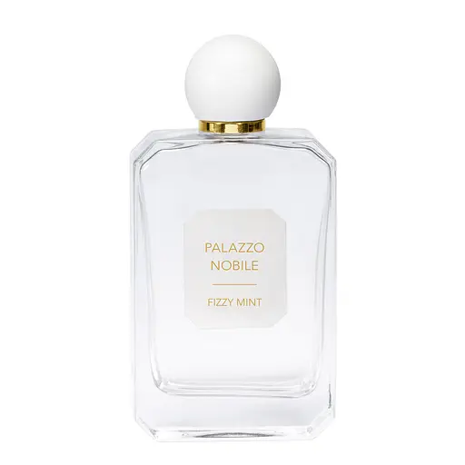 Туалетна вода Fizzy Mint Storie Veneziane 100 мл - фото 1