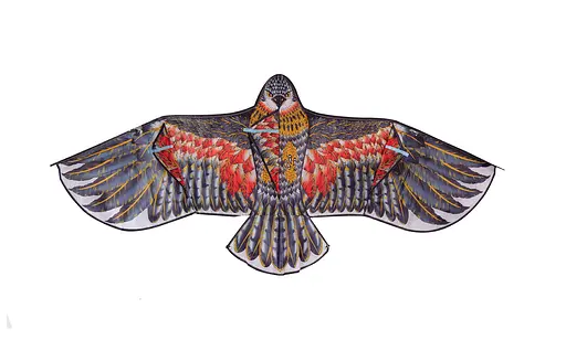 Повітряний змій Орел VZ-2201 1,7 м, в пакеті (6955500026552) - фото 1