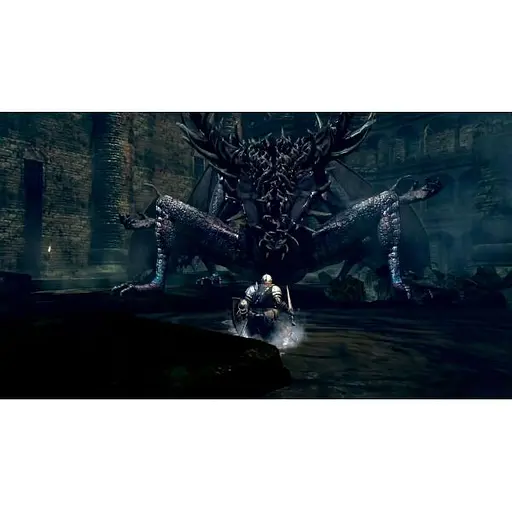 Гра Dark Souls Remastered (російські субтитри) (Nintendo Switch) - фото 6