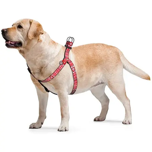 Шлейка для собак Waudog Nylon с QR паспортом, рисунок "Этно красный", пластиковый фастекс - фото 3