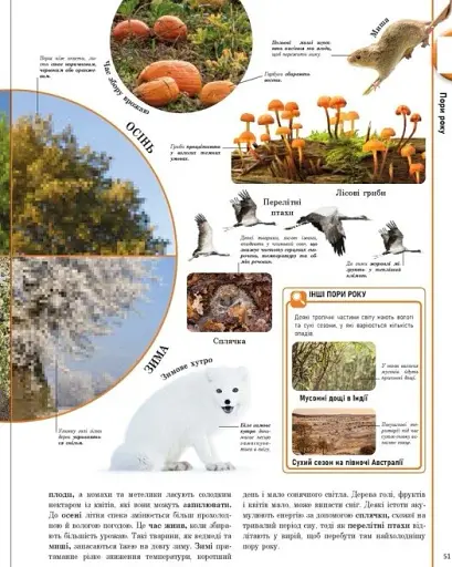 Енциклопедія про все. Наш світ у малюнках - фото 7