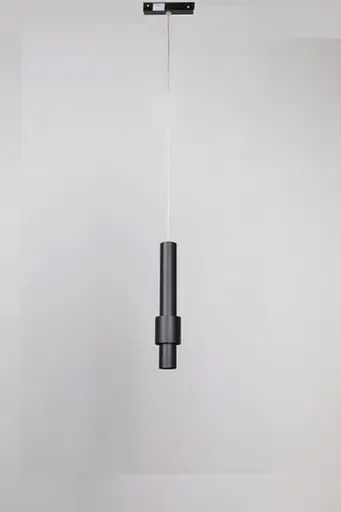 Підвісний трековий світильник Laguna Lighting 11463-12 - фото 1