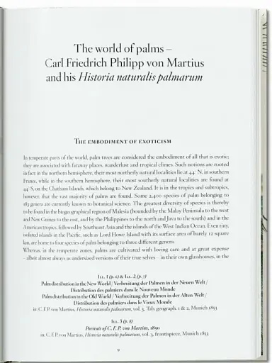 The Book of Palms - фото 9