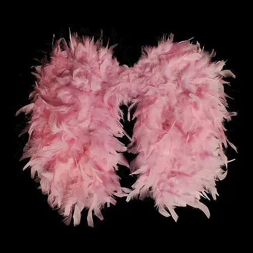 Крила янгола - фото 1