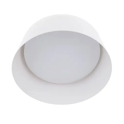 Светильник настенный-потолочный светодиодный накладной Brille BL-597C/12W WW WH