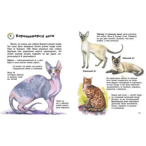 Енциклопедія дошкільника "Коти" 614039 для найменших - фото 2