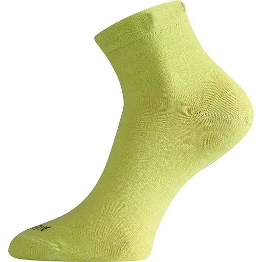 Шкарпетки Lasting WAS Green S (1054-002.003.3221)