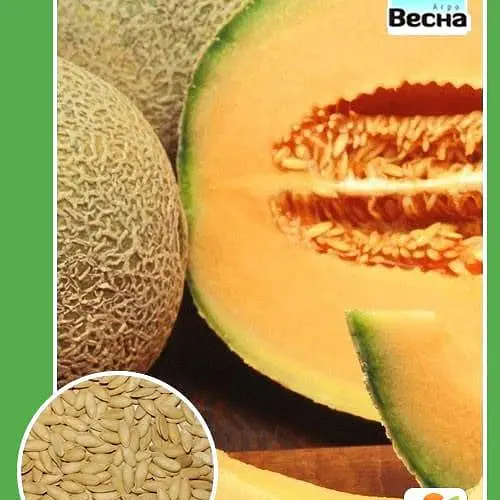 Дыня "Ананас" ТМ "Весна" 1.5г (10137) - фото 1