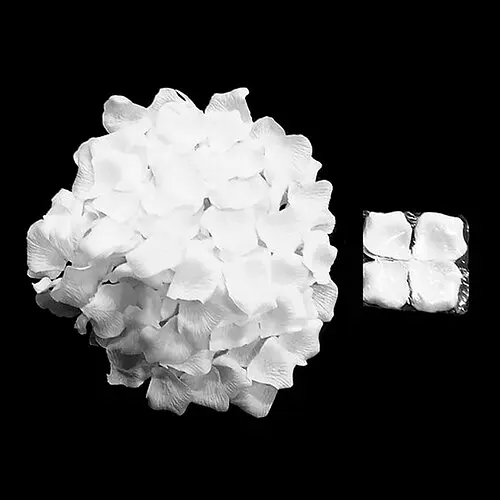 Лепестки роз - фото 1