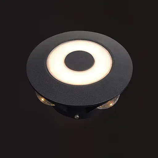Подсветка Brille фасадная Круг LED 5W WW IP54 BK (AL-618) - фото 8
