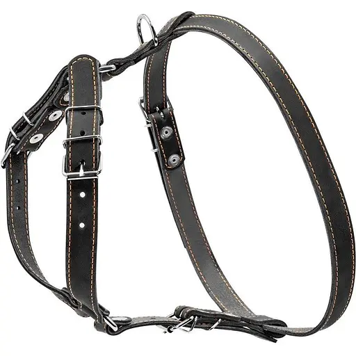 Шлея Collar одинарна для малих та середніх собак (ширина 20мм, А:40-56см, В:57-65см) чорний - фото 2