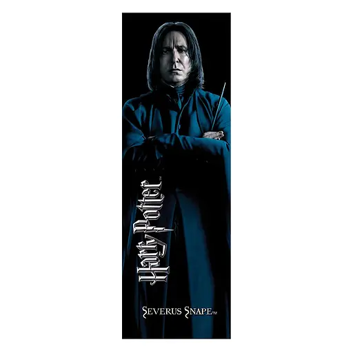 Ручка и закладка Harry Potter Snape Wand (Гарри Поттер) - фото 4