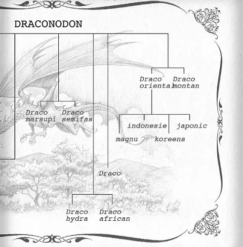 The Ultimate Illustrated Compendium: The Complete Guide to Dragons - фото 8