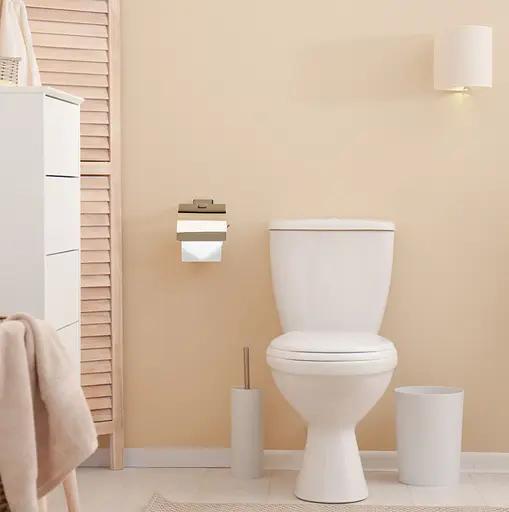 Тримач туалетного паперу Rea Oste 5 золотий золотий REA-80080 Золотий - фото 6