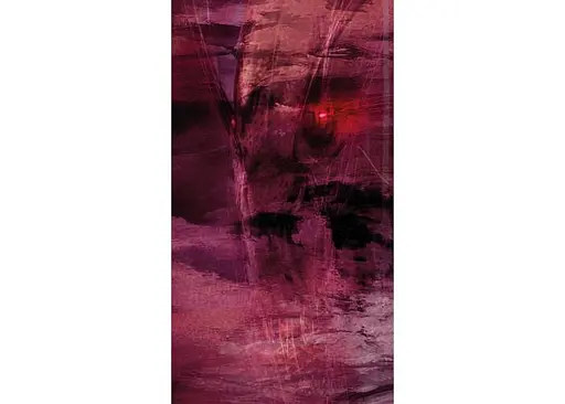 Карти Таро Scarabeo Інкуба (Incubus Tarot) (ВР_КТІ) - фото 7