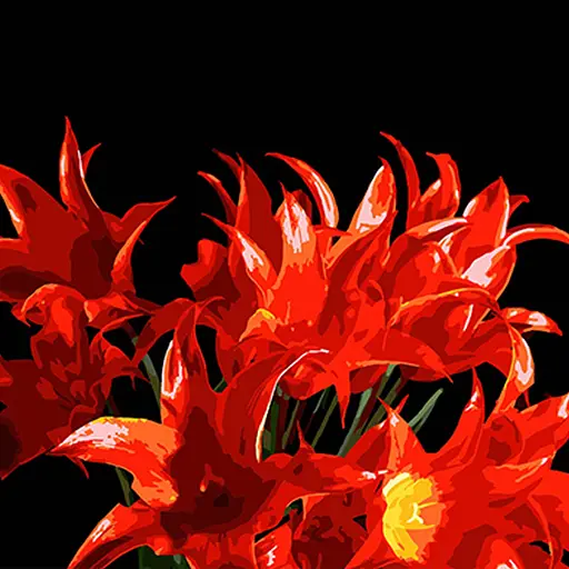 Набор для росписи Strateg Букет красных тюльпанов на черном фоне 40х40 см (AV4040-80) - фото 1