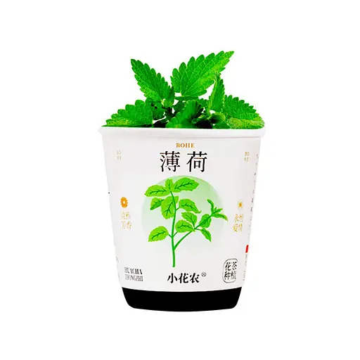 Ботанічні експерименти "Квіти в горщику" Bambi X2024-153-2 грунт, насіння, стакан з кришкою - фото 1