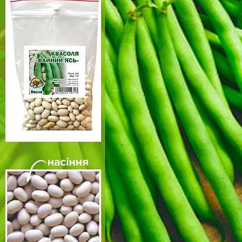 Фасоль "Файный Ясь" ТМ "Весна" 100г (19595) - фото 1