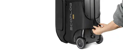 Сумка для зарядної станції EcoFlow DELTA Pro Bag [73432] - фото 4