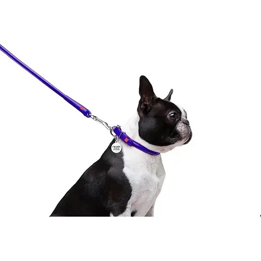 Повідець для собак Waudog Glamour шкіряний круглий, фіолетовий - фото 4