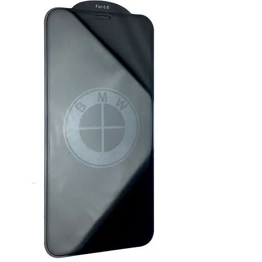 Захисне скло DK Hologram для Apple iPhone XS Max/11 Pro Max 10