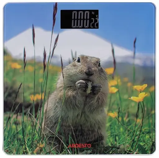 Весы навесные Ardesto SCB-965MATTERHORN