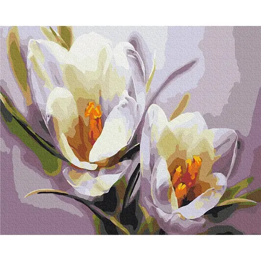 Картина за номерами Крокуси Brushme 40x50 см кольорова 000220963