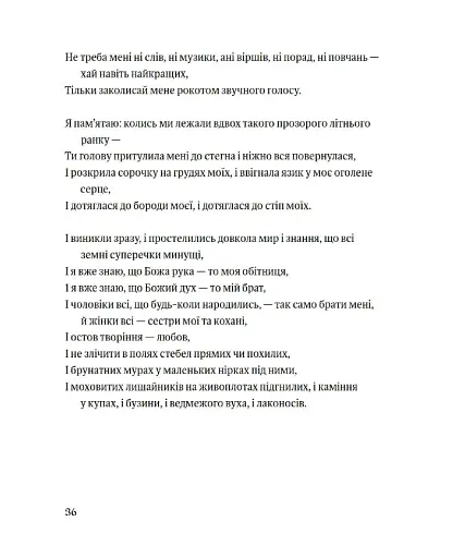 Листя трави - фото 13