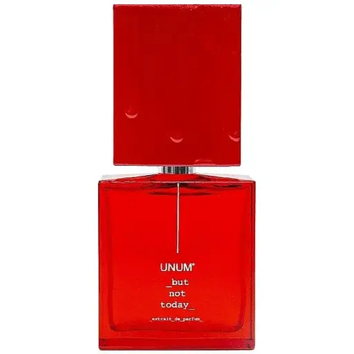 Парфуми оригінал Filippo Sorcinelli But Not Today 100 мл тестер Extrait de Parfum - фото 1